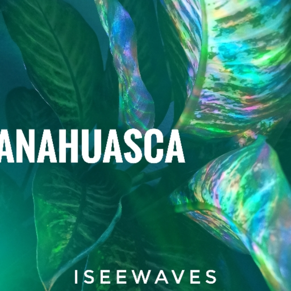 Anahuasca ( HOME OFFICE )