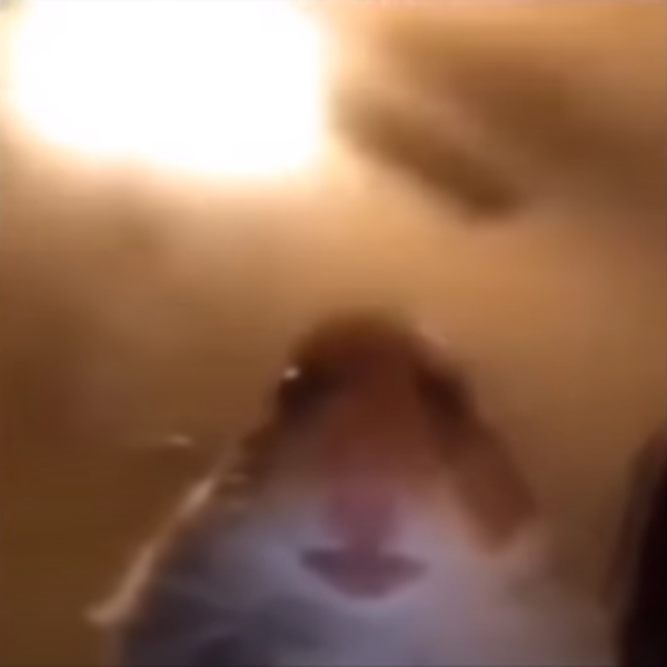 idk