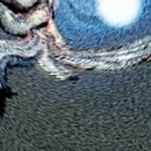 Entropy 21