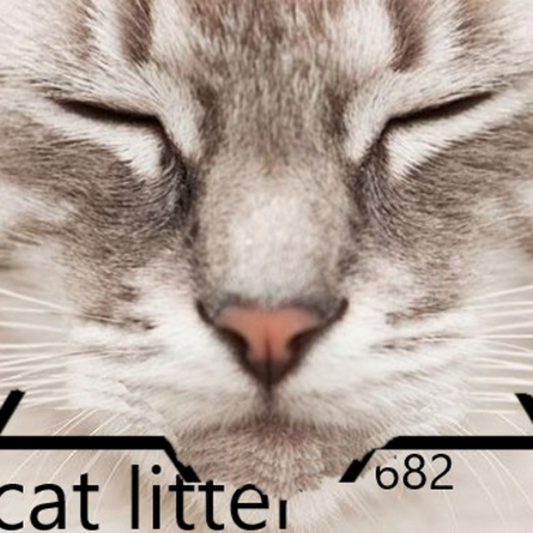 Cat Litter