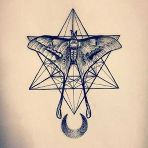 moth