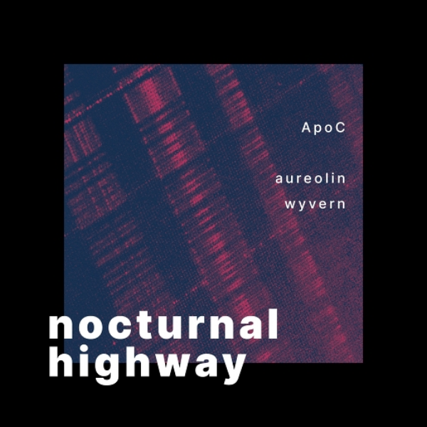 nocturnal highway
