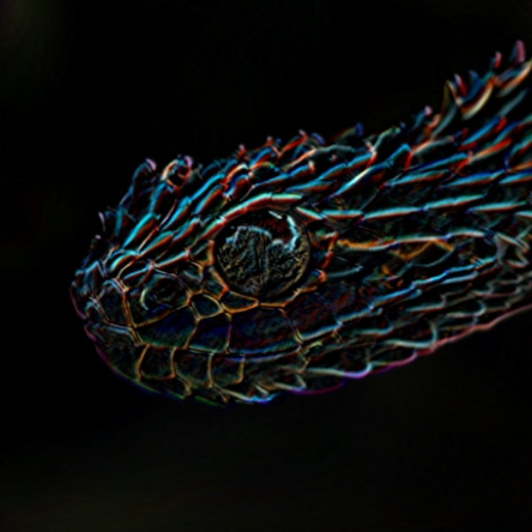 Viper