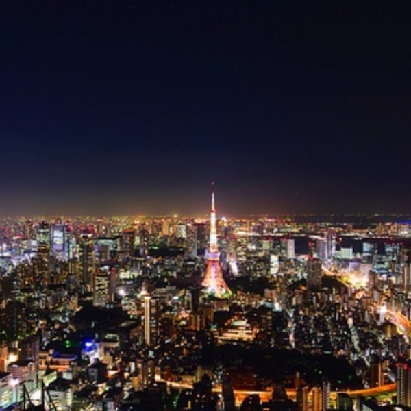 Mexikodro TB - "TOKYO"