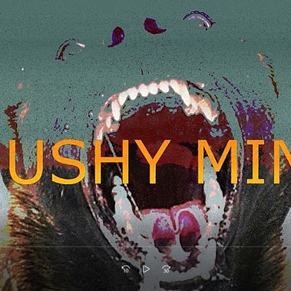 MUSHY MIND EP