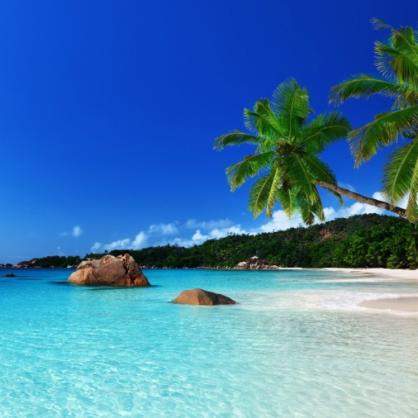 summer beach