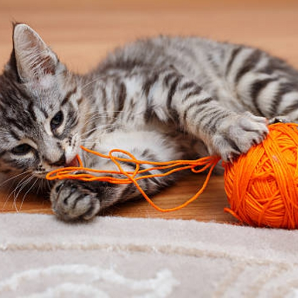 The Spooky Yarn