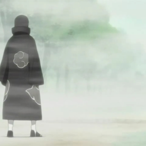 Hidden Mist