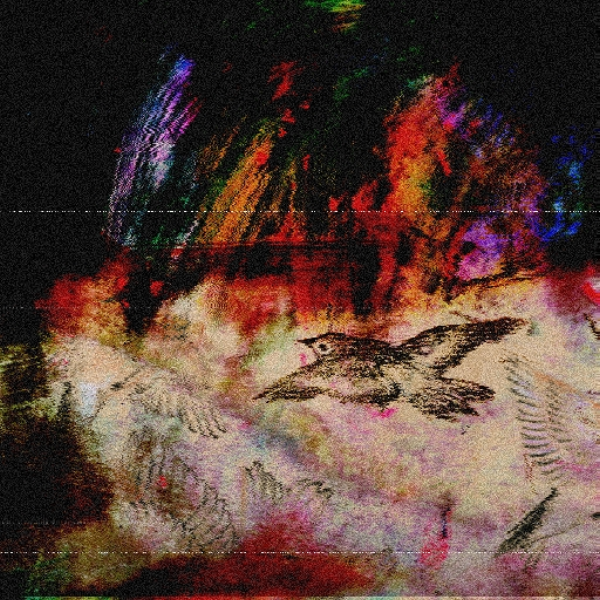the birds can come along with us