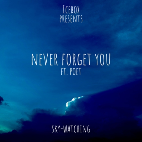 never forget you (HTSL Fluent) ft. poet