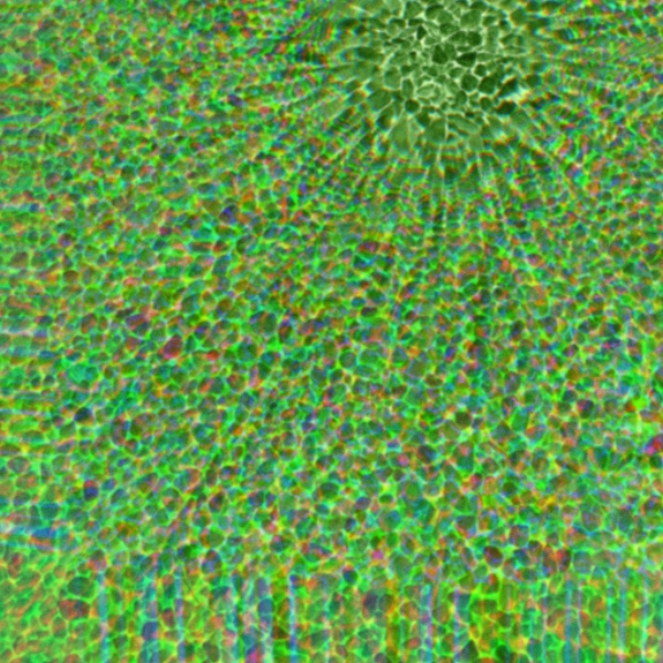 S̶p̶a̶c̶e̶ ̶R̶o̶c̶k̶s̶