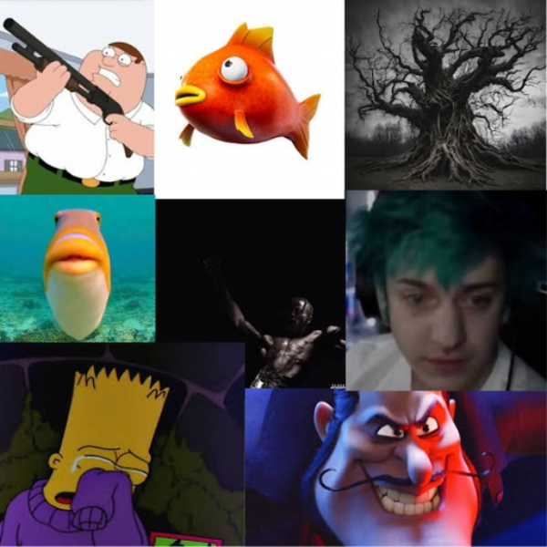 Shaky Fein (V.2)