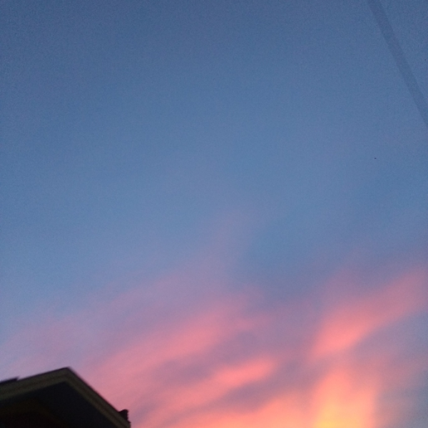 translucent