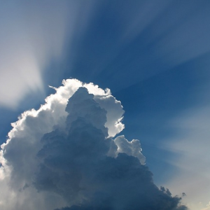 Bright New Sky