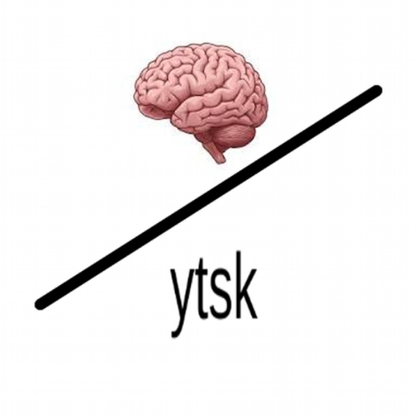 brain / ytsk