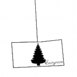 Evergreen
