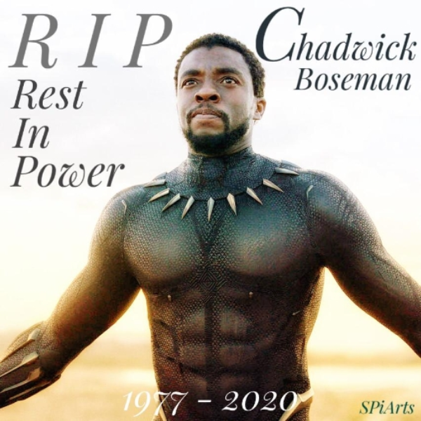 Chadwick Boseman Tribute