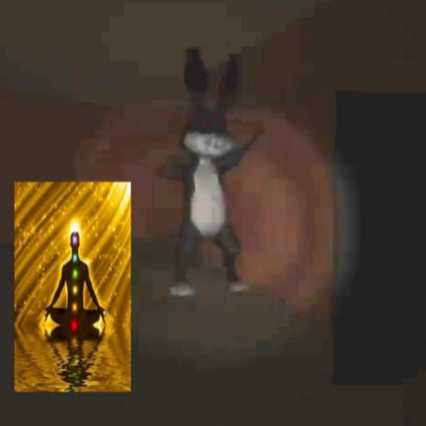 i am a rabbit