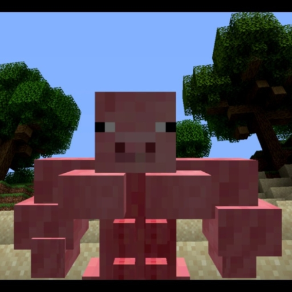 pig_physics_V1