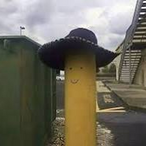 happy