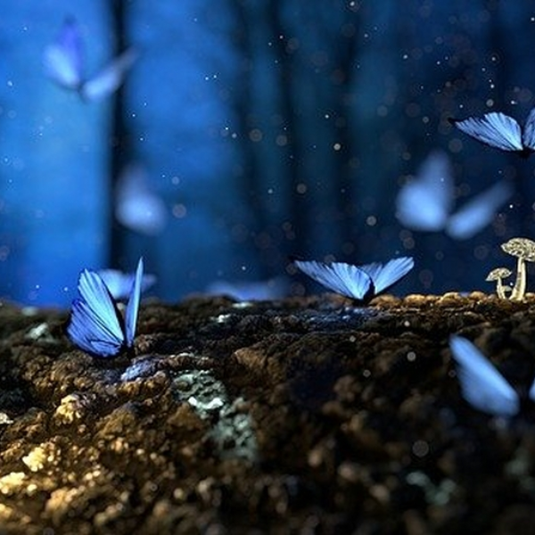 Dreamful