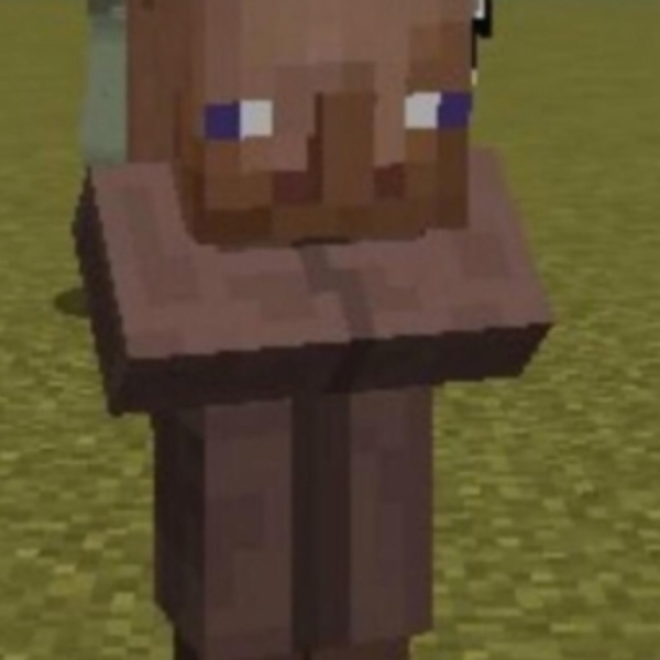 Minecraft on my mind (REMIX)