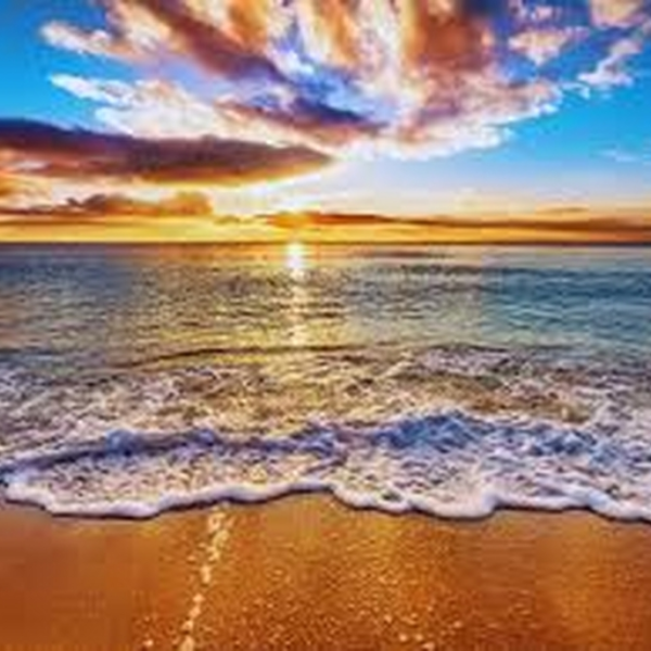 Happy paradise 2025