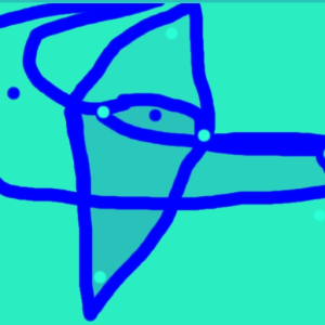 FLY