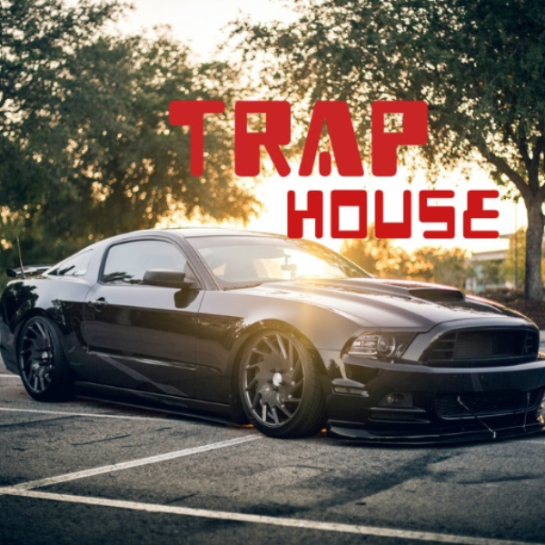 *** TRAP-HOUSE ***