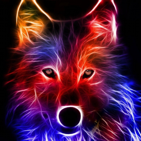 The Wolf