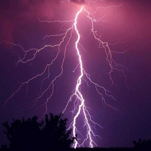 Electric