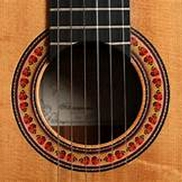 Vulkron's Synthesized Acoustic Guitar