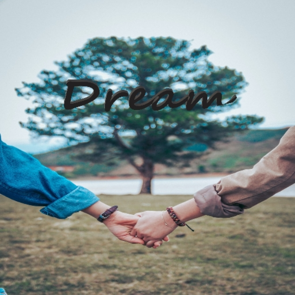 Dream (I'm falling)