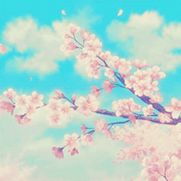 purity