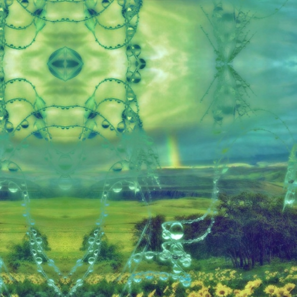 crystalline disarray  -w/ euke-