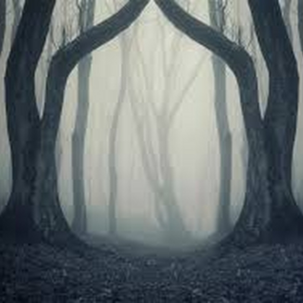Scary Woods