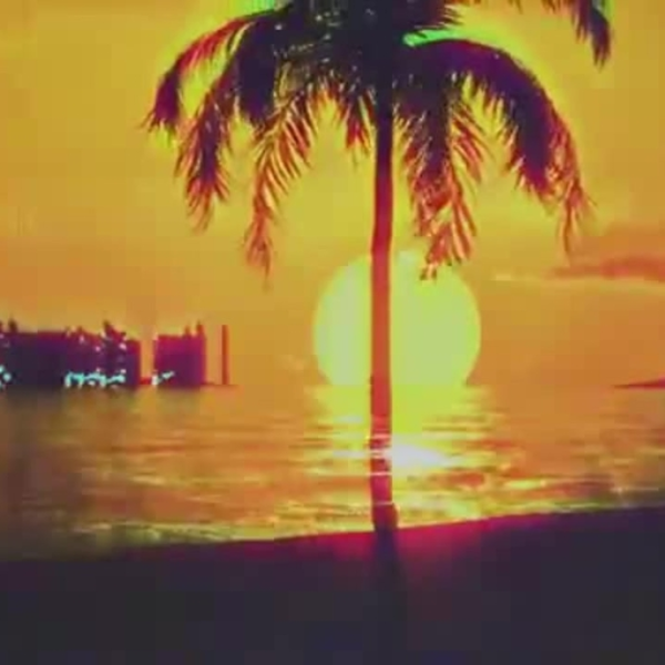 Dawn