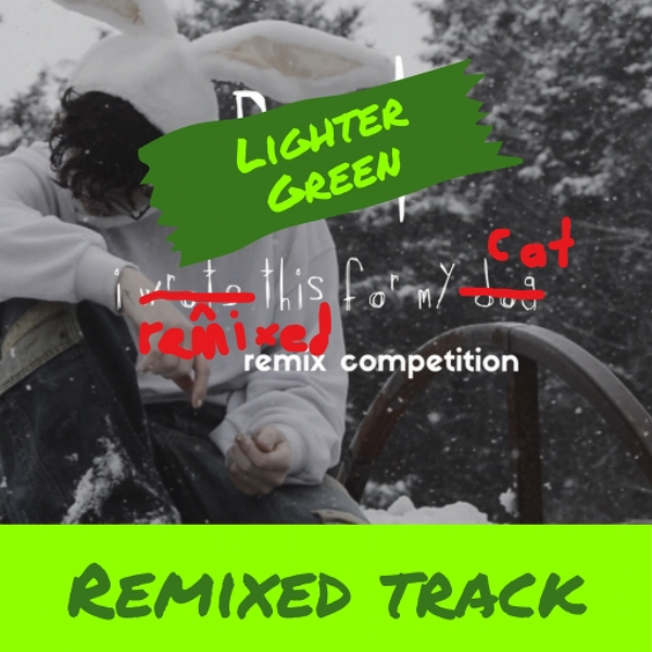 I remixed this for my cat | po9t Remix Competition