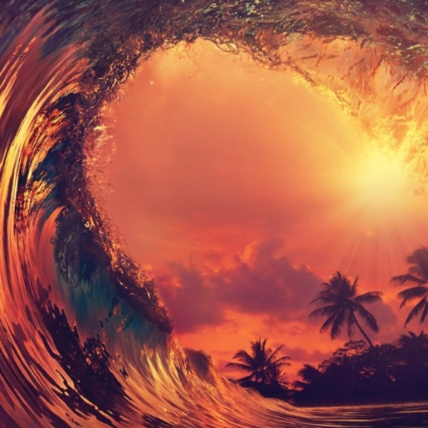W A V E
