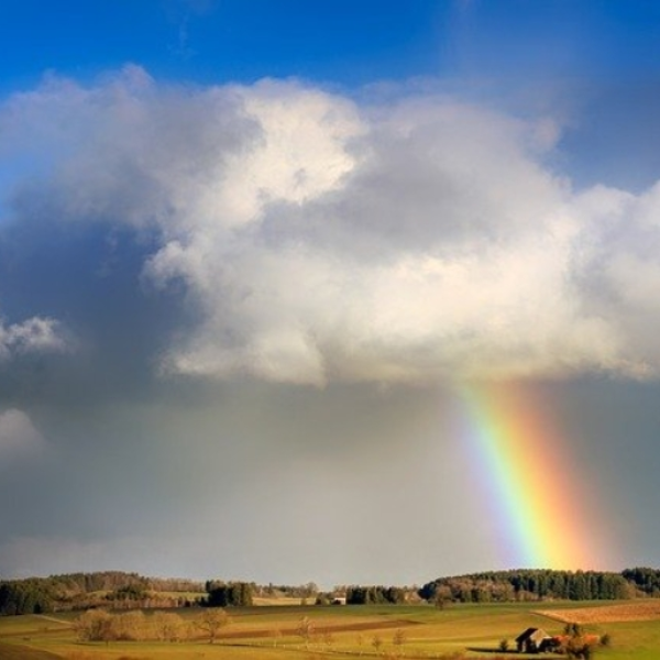 over the rainbow comp