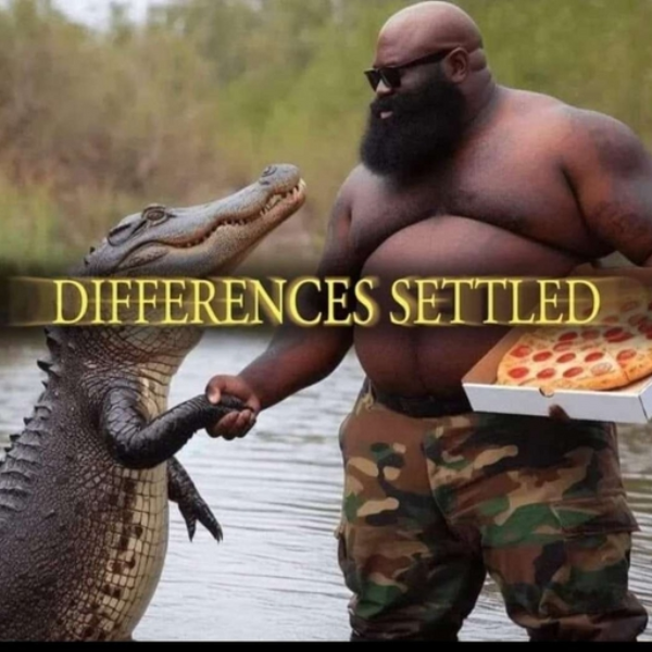 Let Me Cook