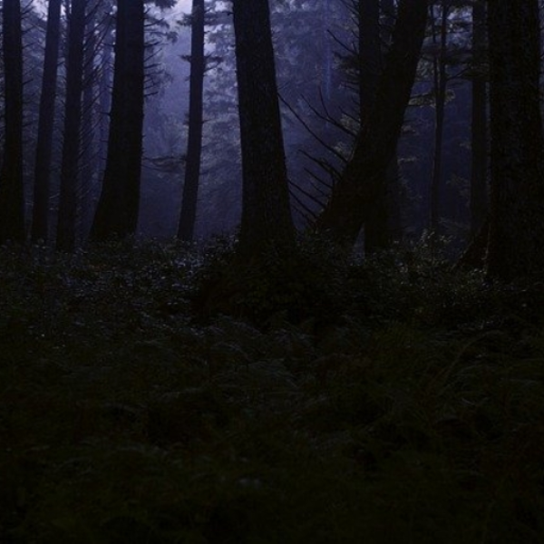 Dark & Scary