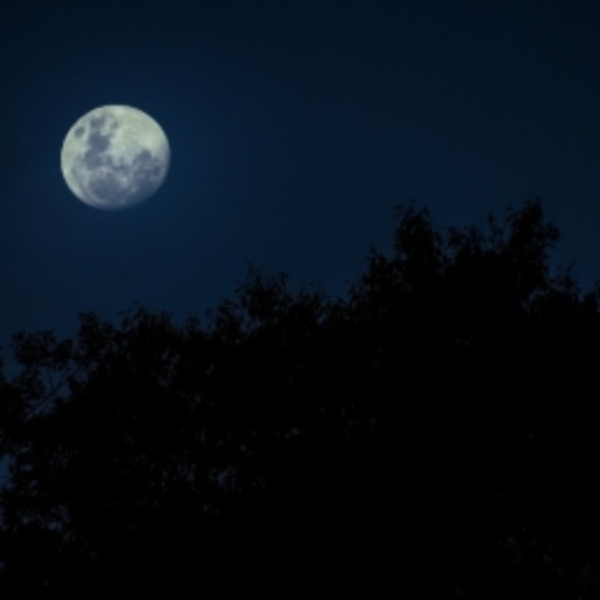 Moon.