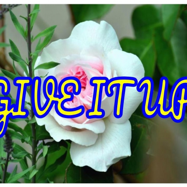 Give it up