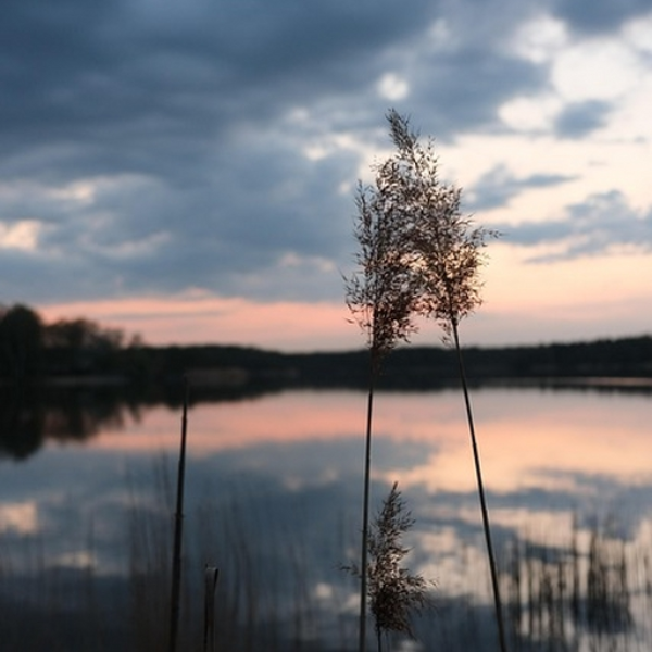 Lakeside view