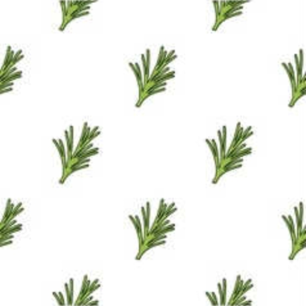 ROSEMARY