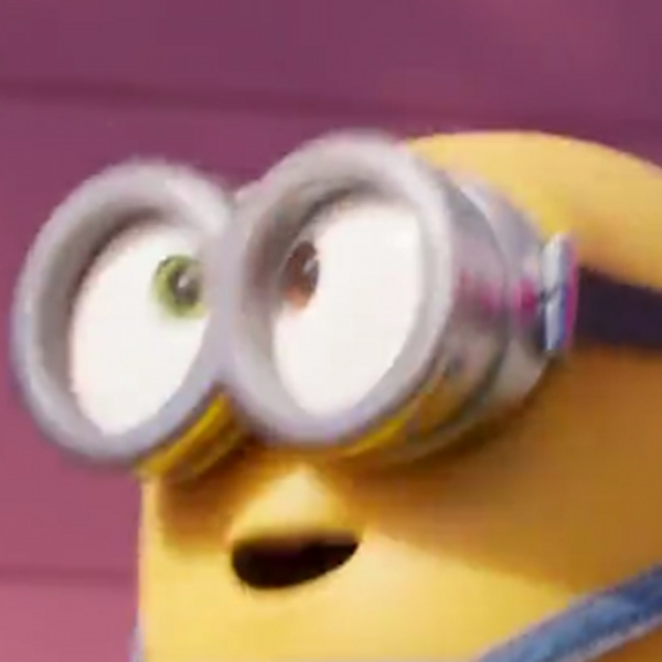 imagne being bob