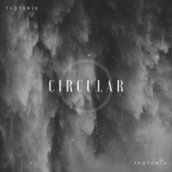 Circular (DubLion Remix)