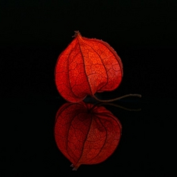 Downside Up