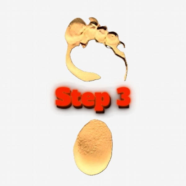 Step 3